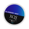 XQS Blueberry Mint