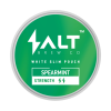 Salt Spearmint nikotiinipussi