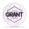 Grant - Ice Blueberry 9mg