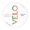 Velo - Arctic Grapefruit 10mg