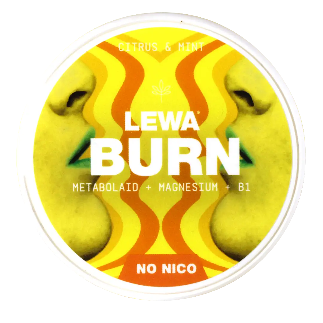 LEWA - Burn Citrus & Mint 0mg